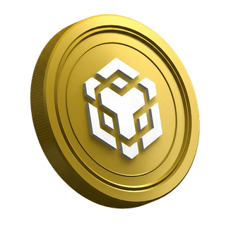 Guía dirigida a traders principiantes con la criptomoneda BNB
